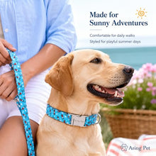 Load image into Gallery viewer, ARING PET Summer Dog Collar for Small Medium Large Boy Dogs-Blue Ice Pop M