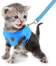 Load image into Gallery viewer, FEimaX Dog Harness and Leash Set for Walking, Soft Mesh Adjustable Easy Control Lightweight Cat Vest Harnesses with Reflective Strips, Escape Proof Small Dogs Cats Vests (Azure, Small)