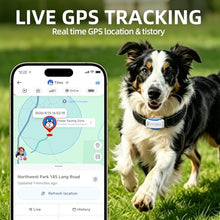 Load image into Gallery viewer, DBDD Dog GPS Tracker, AI Tracker Collar with Virtual Fence & Health Monitoring - Real Time Location Tracker for Escape Artists, Electronic Fence Collar for Medium to Large Dogs, iOS and Android