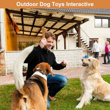 Load image into Gallery viewer, Pasking 2 Pack Dog Chew Toys for Aggressive Chewers, Chicken Flavor Indestructible Nylon Puppy Bone Tough Teething & Calming for Large Medium Breeds(10lbs-70lbs) Birthday Gift Christmas
