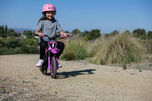 Load image into Gallery viewer, 12V Electric Dirt Bike, Battery Powered Ride on (Pink)