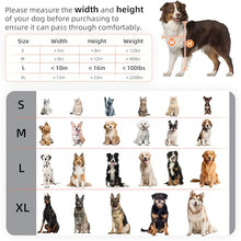 Load image into Gallery viewer, MIAOTONG Steel Dog Door for Wall, 3-Flap, Sturdy and Durable, Large