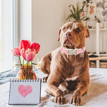 Load image into Gallery viewer, ARING PET Girl Dog Collar, Cute Spring Summer Pink Bow Puppy Pet Collars Necklace for Small Medium Large Female Dogs-XS