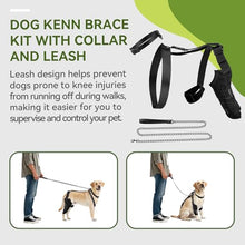 Load image into Gallery viewer, Dog Knee Brace for Back Leg, Adjustable Dog Leg Brace for Torn ACL Hind Leg Support, Joint Stability, Injury Recovery, Pain Relief, Dogs Rear Leg Wrap Harness Set with Collar and Leash (Medium)