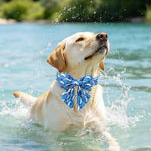 Load image into Gallery viewer, ARING PET Summer Dog Collar with Bow, Cute Blue Ocean White Whale Sailor Bowtie Pet Collars with Metal Buckle for Puppy Small Medium Large Boy Girl Dogs, for Daily Walks, Travel, Photo, Parties-L