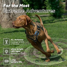 Load image into Gallery viewer, DBDD AI GPS Tracker for Dogs (30lbs+) - Real-Time Location & AI Health Assistant, Electronic Fence Collar for Escape Artists, Waterproof Dog GPS Tracker for Medium Large Dogs, iOS Android