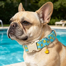 Load image into Gallery viewer, ARING PET Summer Dog Collar, Cute Blue Yellow Duck Doggy Collars for Puppy Small Medium Large Boy Girl Dogs, for Daily Photos Beach Walking Hiking Picnic-M