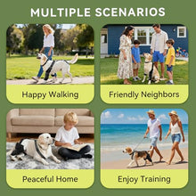 Load image into Gallery viewer, Dog Knee Brace for Back Leg, Adjustable Dog Leg Brace for Torn ACL Hind Leg Support, Joint Stability, Injury Recovery, Pain Relief, Dogs Rear Leg Wrap Harness Set with Collar and Leash (Medium)