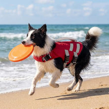 Load image into Gallery viewer, LeLePet Dog Life Jacket, High Flotation Swim Vest for Dogs L Red