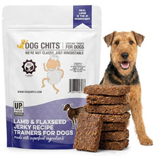 Load image into Gallery viewer, Dog Chits Lamb and Flaxseed Soft Chew for Dogs - All Natural Dog Treats, High Protein, Gentle on Teeth & Rich in Omega 3 and 6 - Supports Joint and Digestive Health - Made in USA - 4 oz