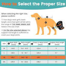 Load image into Gallery viewer, Snagle Paw Dog Knee Braces for Back Legs, ACL/CCL Support, XL