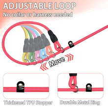 Load image into Gallery viewer, FOVRLZSE 6-Pack Macaron Nylon Slip Leads, 4.6FT for Small to Medium Dogs