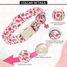 Load image into Gallery viewer, ARING PET Dog Collar, Cute Spring Summer Strawberry Cherry Pet Collars for Puppy Small Medium Large Boy Girl Dogs-XS, for Daily Outdoor Walking Training