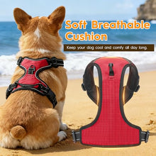 Load image into Gallery viewer, No Pull Dog Harness, No-Choke Soft Padded Reflective Dog Vest Harness with Front Clip & Top Handle, 2 Quick-Release Buckles, Adjustable for Small Medium Large Dogs