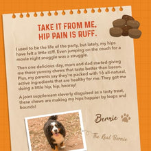 Load image into Gallery viewer, Bernie's Healthy Hips, Hip and Joint Supplement for Dogs, 90 Ct Soft Chews