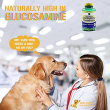Load image into Gallery viewer, Dog Chits Chicken Feet for Dogs - Dog and Puppy Chews | All-Natural Treats | Large and Small Breeds | Nothing Added | Dehydrated | 30 Pack