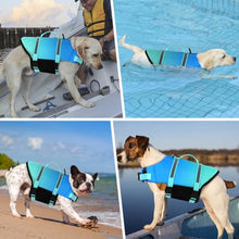 Load image into Gallery viewer, Doglay Dog Life Jacket, Life Vest for Swimming and Boating, Adjustable Puppy Life Jacket with Reflective Stripes, Superior Buoyancy Pet Swimming Vest for Small Medium and Large Dogs
