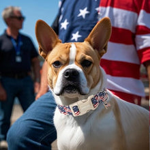 Load image into Gallery viewer, ARING PET 4th of July Collars for Dogs, Fourth of July Patriotic American USA Flag Red White Blue Dog Collar for Puppy Small Medium Large Boy Girl Doggy-L