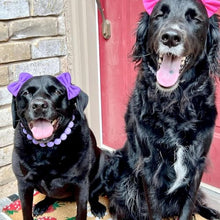Load image into Gallery viewer, mqajdv Dog Hair Double Bow Headbands 3 Pcs – Bow Headband for Dogs, Dog Hair Bow,Classic Dog Hair Bows, Adjustable Headband, Puppy Bow, Pet Hair Bow, Dog Grooming Accessory