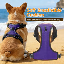 Load image into Gallery viewer, No Pull Dog Harness, No-Choke Soft Padded Reflective Dog Vest Harness with Front Clip & Top Handle, 2 Quick-Release Buckles, Adjustable for Small Medium Large Dogs
