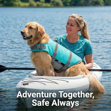 Load image into Gallery viewer, Doglay Dog Life Jacket with Rescue Handle, Dog Life Vest for Swimming Boating, Adjustable Reflective Puppy Swim Vest with Superior Buoyancy for Small Medium Large Dogs