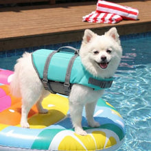 Load image into Gallery viewer, Doglay Dog Life Jacket, Dog Life Vest for Swimming Boating, Adjustable Puppy Life Jacket with Reflective Stripes, Superior Buoyancy Dog Swimming Vest for Small Medium and Large Dogs