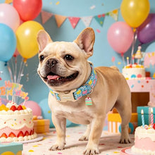 Load image into Gallery viewer, ARING PET Happy Birthday Dog Collar, Cute Blue Cake Doggy Collars for Puppy Small Medium Large Boy Girl Dogs, for Dog Birthday Parties Photo Shoots Celebration Gifts-S