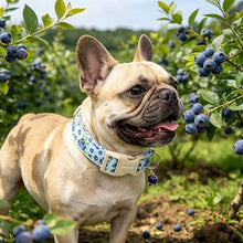 Load image into Gallery viewer, ARING PET Blueberry Dog Collar, Cute Spring Summer Blue Doggy Collars for Puppy Small Medium Large Boy Girl Dogs, for Daily Photos Beach Walking Hiking Picnic-L