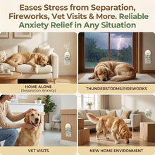 Load image into Gallery viewer, 4-Pack Dog Calming Diffuser Kit (1 Diffuser + 3 Refills), Plug-in Pheromone Calming Diffuser for Dog, 90-Day Supply, Covers 700 sq ft, Safe & Odorless Stress Relief Solution, Promotes Relaxed Behavior