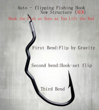 Load image into Gallery viewer, Pre-Tied Double Hook Fishing Rigs for Small Fish Trout Hooks, 100 Sets (200 fishHooks), Saltwater Freshwater Snelled Hooks Kit, Ready-to-Fish Tackle Lorumox snelled Fishing Hooks
