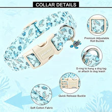 Load image into Gallery viewer, ARING PET Summer Dog Collar, Cute Blue Ocean Sea Turtle Crab Starfish Doggy Collars for Puppy Small Medium Large Boy Girl Dogs Pet, for Daily Photos Beach Walking Hiking Picnic-XS