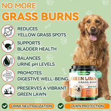 Load image into Gallery viewer, Dog Urine Neutralizer Chews for Lawn Burn Spots with DL-Methionine, 200ct
