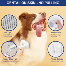 Load image into Gallery viewer, 3-in-1 Pet Hair Dryer Brush for Dogs & Cats Portable, Dog Hair Blower & Slicker Brush Adjustable Temp (Low/Middle/High), Overheat Protection