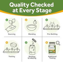 Load image into Gallery viewer, Doctor's Recipes Moringa, Complete Green Superfood, Natural Antioxidant Support, Non-GMO, 240 Vegan Caps, No Caffeine Soy Gluten