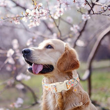 Load image into Gallery viewer, ARING PET Spring Summer Dog Collar-Cute Adjustable Cotton Floral Pet Collars for Puppy Small Medium Large Girl Dogs-M