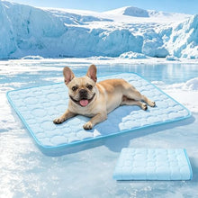 Load image into Gallery viewer, Mora Pets Dog Cooling Mat Pet Cooling Pad for Dogs & Cats Q-Max>0.5, Breathable Washable Self Cool Dog Mat for Indoor Floors, Crate, Sofa & Outdoor Use, Non Gel Summer Ice Silk Cold Pad Medium 36x27