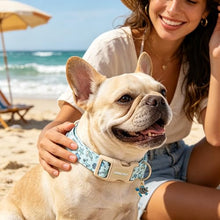 Load image into Gallery viewer, ARING PET Summer Dog Collar, Cute Blue Ocean Sea Turtle Crab Starfish Doggy Collars for Puppy Small Medium Large Boy Girl Dogs Pet, for Daily Photos Beach Walking Hiking Picnic-XS