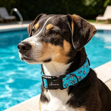 Load image into Gallery viewer, ARING PET Summer Dog Collar, Cute Blue Shark Pet Collars with Quick Release Buckle for Puppy Small Medium Large Boy Girl Dogs-L