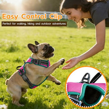 Load image into Gallery viewer, No Pull Dog Harness, No-Choke Soft Padded Reflective Dog Vest Harness with Front Clip & Top Handle, 2 Quick-Release Buckles, Adjustable for Small Medium Large Dogs