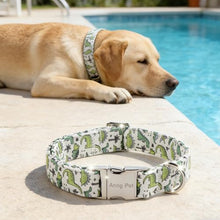 Load image into Gallery viewer, ARING PET Boy Dog Collar for Puppy Small Medium Large Dog-Green Dinosaur XS