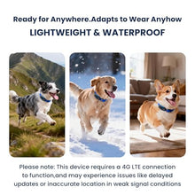 Load image into Gallery viewer, DBDD AI GPS Dog Tracker, Virtual Fence & AI Health Monitor, Waterproof