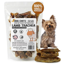 Load image into Gallery viewer, Dog Chits Lamb Trachea Dog Chews - 100% Single Ingredient, High Protein, Low Fat - Glucosamine for Joint Support - Dental-Clean Crunch - for Dogs Sensitive to Beef, Training Treat - 6 inch, 8 oz