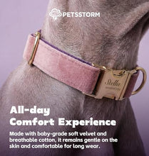 Load image into Gallery viewer, Dog Collar Personalized with Name Engraved - Light Gold Quick Release Buckle, Soft Velvet Lined, Comfortable Gift for Small, Medium, Large Dogs