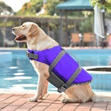 Load image into Gallery viewer, Doglay Dog Life Jacket with Rescue Handle, Dog Life Vest for Swimming Boating, Adjustable Reflective Puppy Swim Vest with Superior Buoyancy for Small Medium Large Dogs