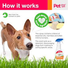 Load image into Gallery viewer, PET YOUR PET Dog Potty Training Spray No Pee No Poop, 16 Fl Oz, Non Toxic Spray for Dogs Only, Natural Pee Deterrent, Prevents Urine Marking and Pooping, Indoor Outdoor House Training Aid