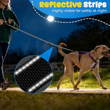 Load image into Gallery viewer, Heavy Duty Dog Leash with Easy Lock Metal Clip, Reflective, Padded Handle - Durable 4ft 8ft Walking Training Leash for Large, Medium, Small Dogs, Jogging, Hiking, and Outdoor Use (Black, 4 FT)