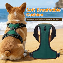 Load image into Gallery viewer, No Pull Dog Harness, No-Choke Soft Padded Reflective Dog Vest Harness with Front Clip & Top Handle, 2 Quick-Release Buckles, Adjustable for Small Medium Large Dogs