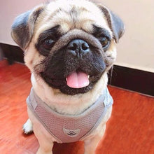 Load image into Gallery viewer, FEimaX Dog Harness and Leash Set for Walking, Soft Mesh Adjustable Easy Control Lightweight Cat Vest Harnesses with Reflective Strips, Escape Proof Small Dogs Cats Vests (Grey, Small)