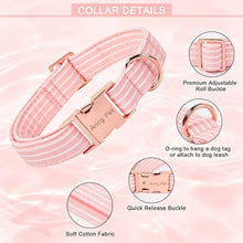 Load image into Gallery viewer, ARING PET Girl Dog Collar for Puppy Small Medium Large Dogs-Pink Stripe L