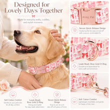 Load image into Gallery viewer, ARING PET Girl Dog Collar for Puppy Small Medium Large Dogs-Pink Red Bow S